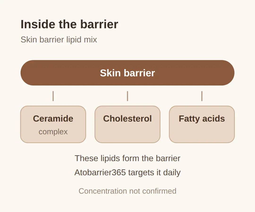 The ceramide barrier claim behind Atobarrier365
