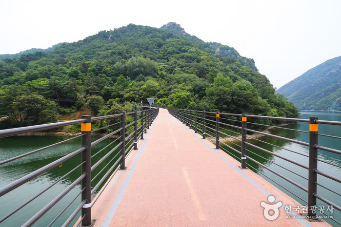 Uiamho Lake Skywalk (의암호스카이워크) — Chuncheon Korean fried chicken: why is this city famous for chicken?