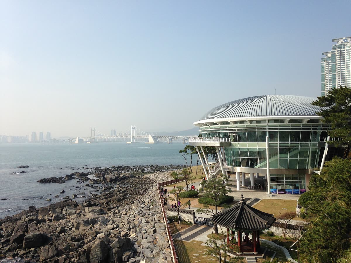 APEC House — Dongbaek vs Igidae: Which Coastal Trail for You