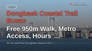 Dongbaek Coastal Trail Busan: Free 950m Walk, Metro Access, Hours