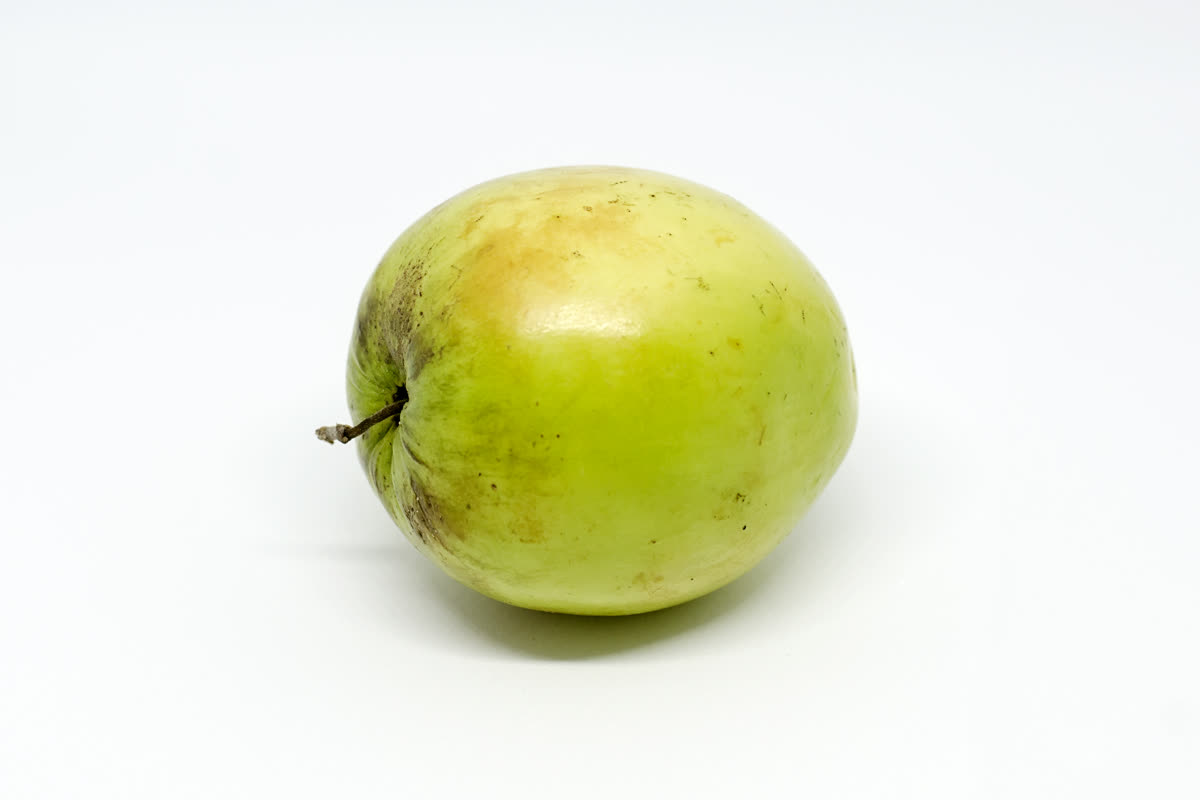 Indian jujube (fruit) — Taste and texture — closer to an apple than a date