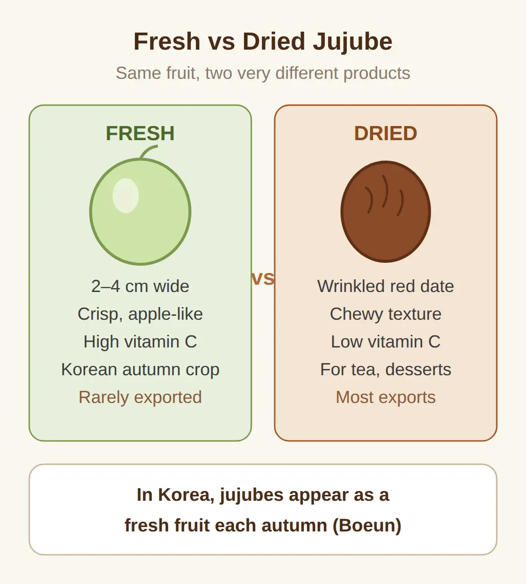 Fresh jujubes Korea: what they are, and how they differ from the dried version abroad