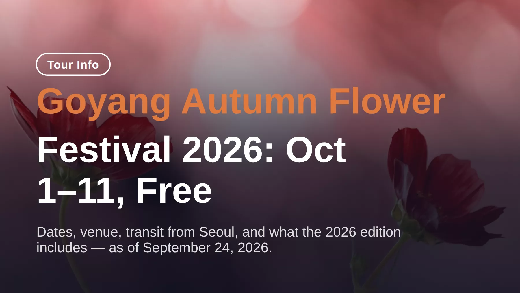 Goyang Autumn Flower Festival 2026: Oct 1–11 at Ilsan Lake Park
