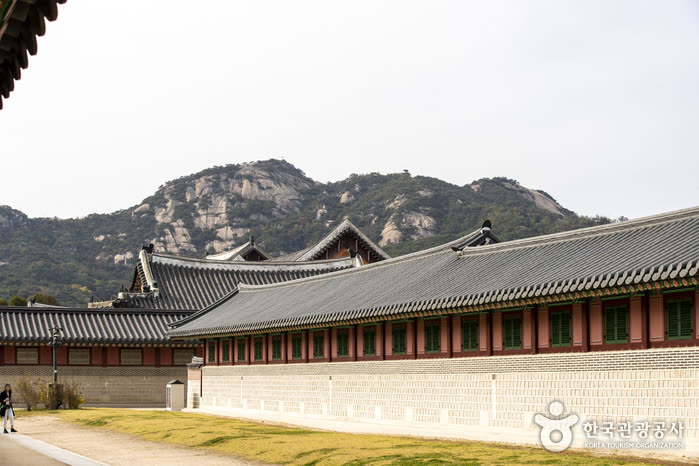 Gyeongbokgung Palace (경복궁) — Gyeongbokgung night viewing 2026 dates, hours and price