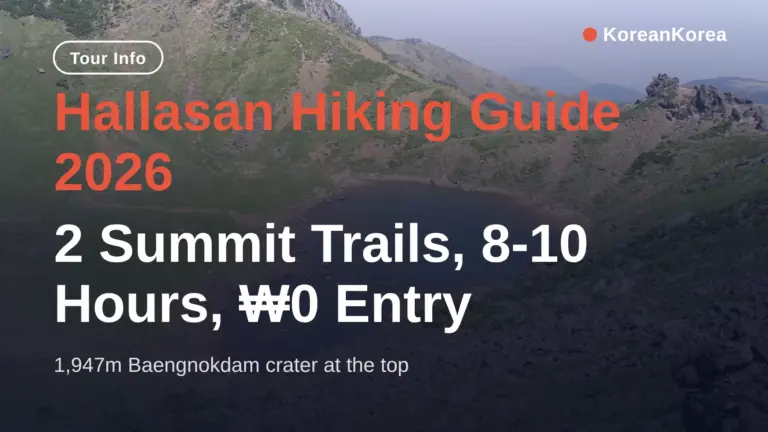 Cẩm nang leo núi Hallasan 2026: 2 cung lên đỉnh, 8-10 giờ, phí vào cửa ₩0