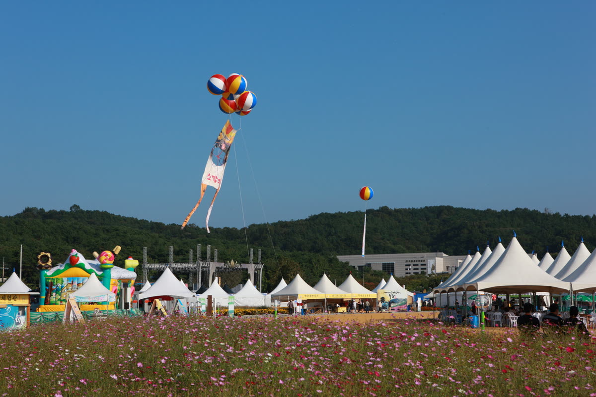세계대백제전 — Not the same event: the Baekje Cultural Festival in Buyeo
