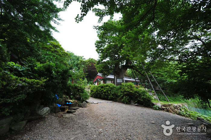 Incheon Yonggungsa Temple (용궁사 (인천)) — Incheon airport to Seoul: cheapest and fastest options compared