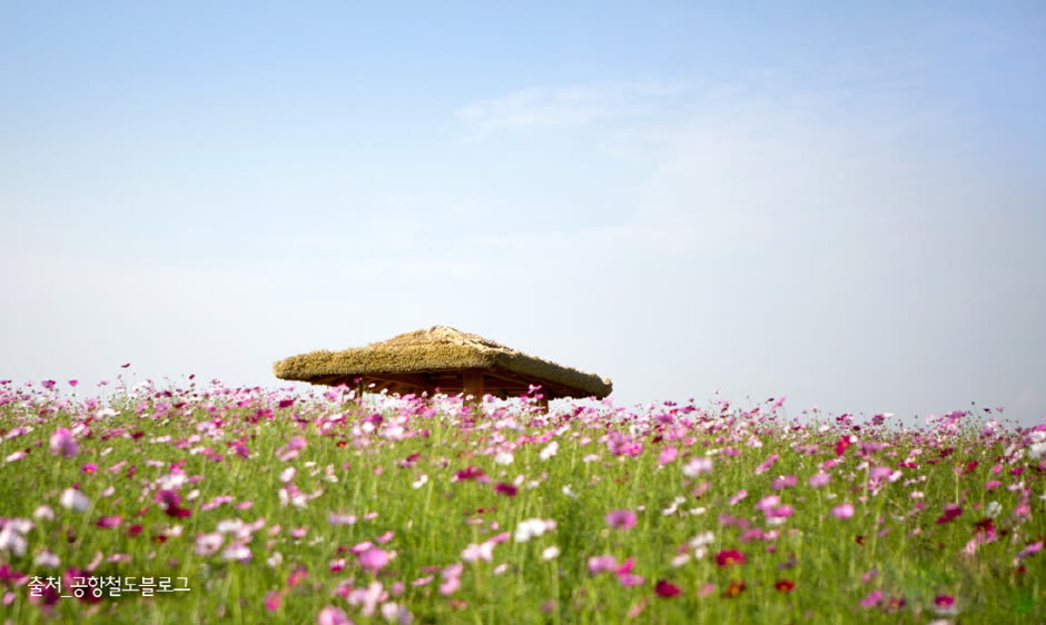 Sudokwon Landfill Site Wildflower Complex Dream Park (수도권 매립지 야생화단지 드림파크) — Limousine bus: which route for which hotel area