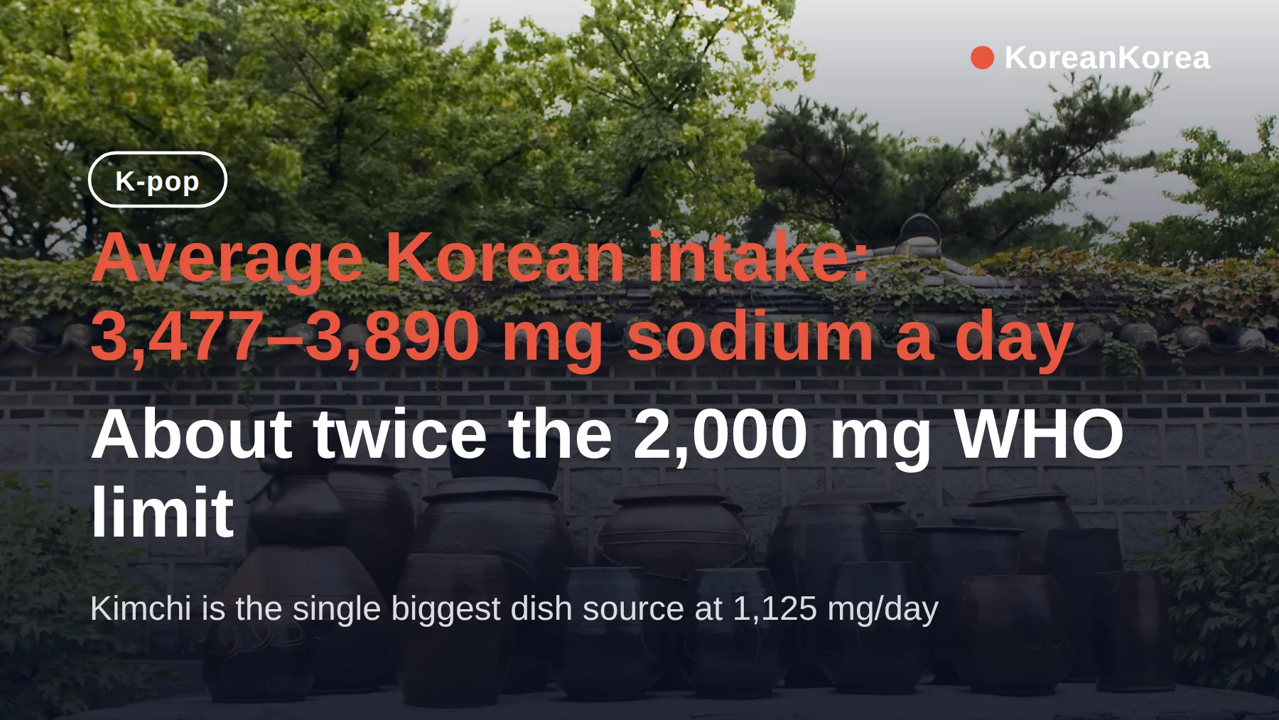 韓国料理は塩分が高い?WHO基準の2倍、減らす方法