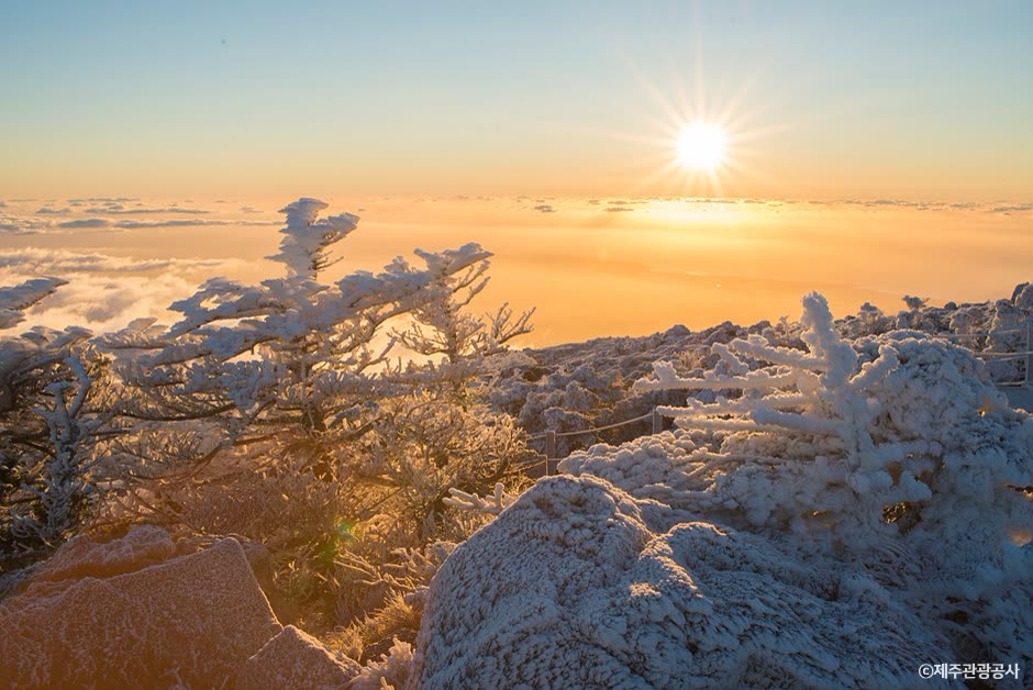 Hallasan Mountain (한라산) — How Much Is a One-Way Flight to Jeju?