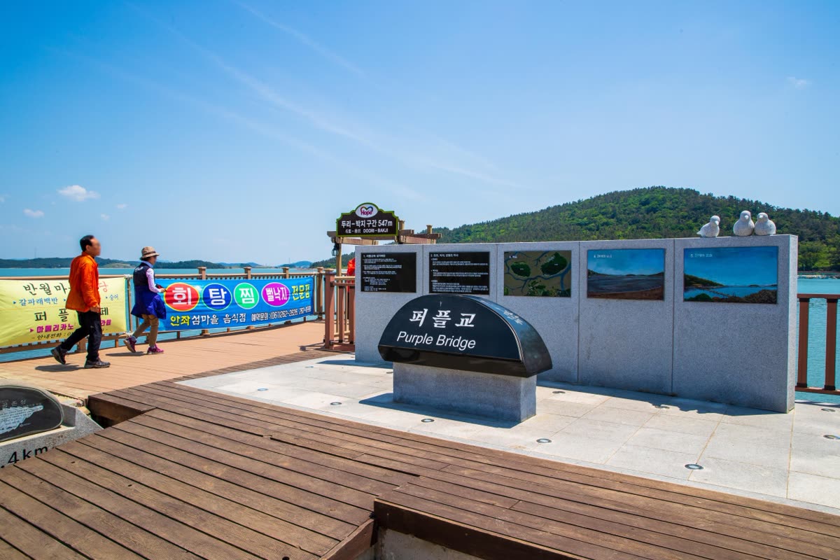 퍼플섬 — A 6.5-Hour Winter Day in Seogwipo