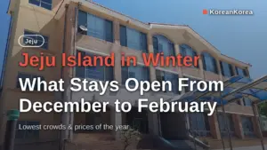 Jeju Island in Winter: What Stays Open From December to February