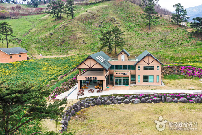 Jirisan Cheese Land (지리산치즈랜드) — How Much Does It Cost? Two Listings Disagree