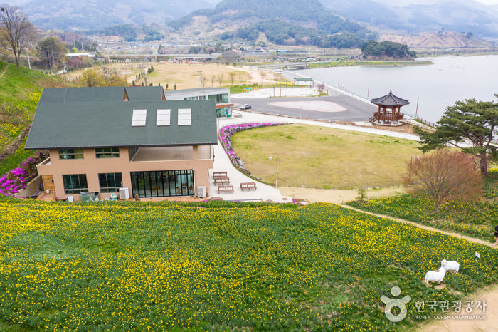 Jirisan Cheese Land (지리산치즈랜드) — When Are the Flowers in Bloom?