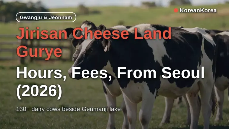 Jirisan Cheese Land Gurye: Giờ mở cửa, vé, cách đi từ Seoul (2026)