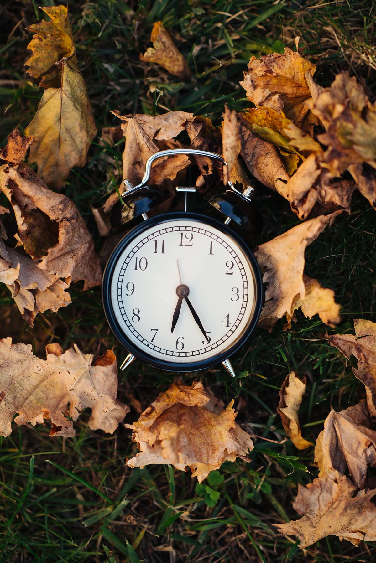 Close-up of an alarm clock surrounded with dry leaves. (51652336866) — JISOO CLICK release time, converted to your time zone