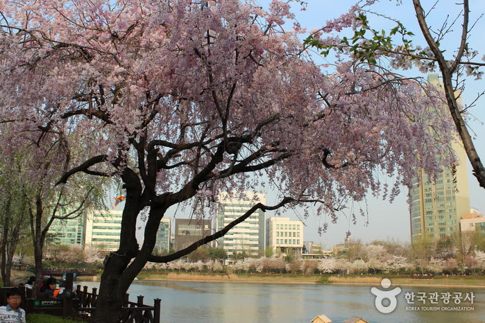 Songpa Naru Park (Seokchonhosu Lake) (송파나루공원 (석촌호수)) — The Free Indoor Stop: National Museum Children's Museum (Booking Steps)