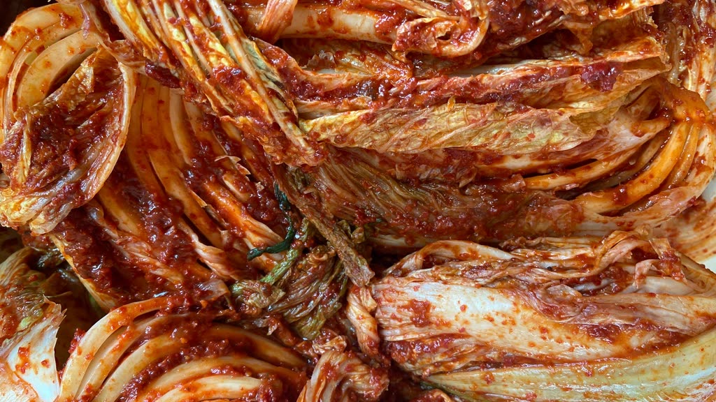 Free gimjang kimchi, koreaan cuisine — Does kimchi have live probiotics?