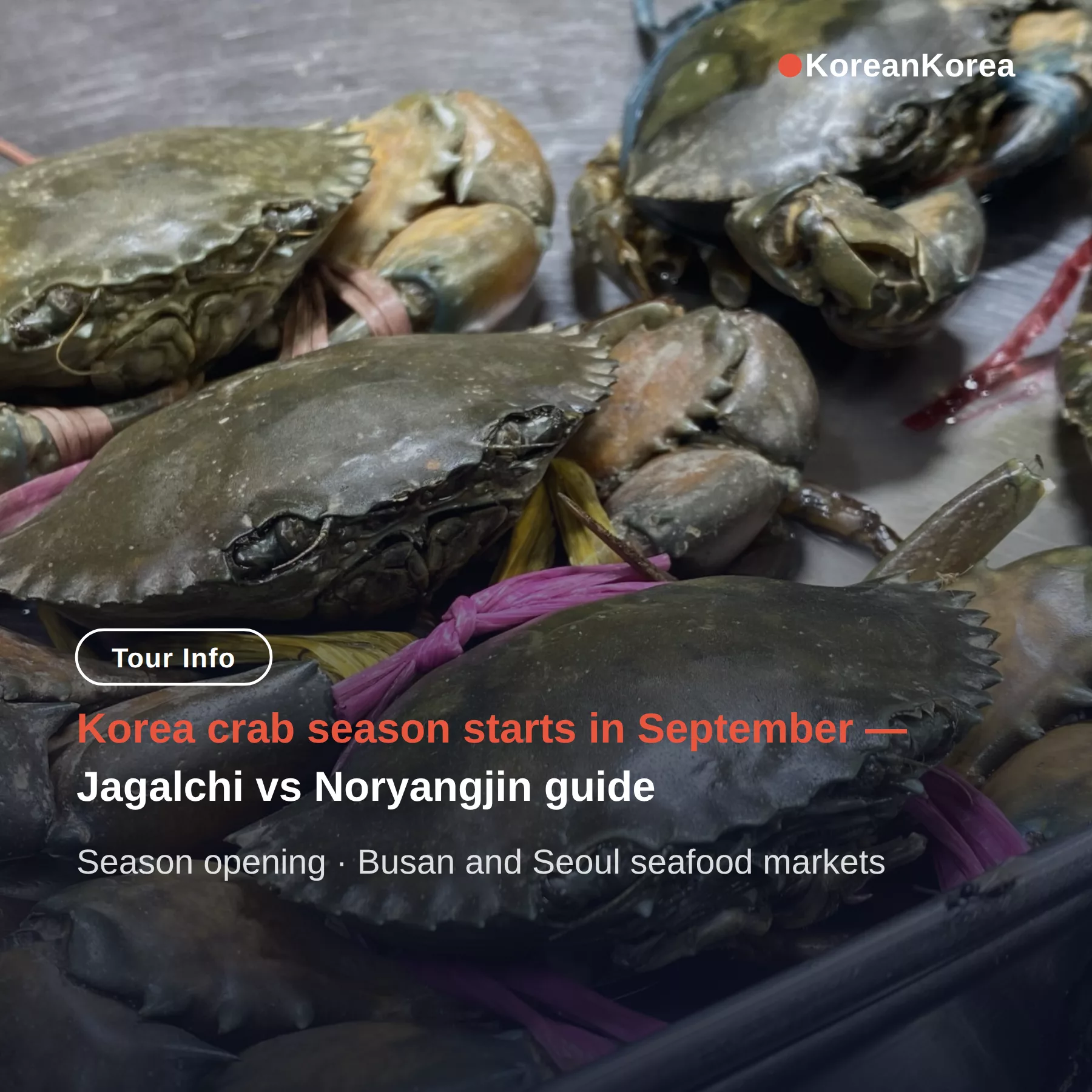 Korea crab season starts in September — Jagalchi vs Noryangjin guide