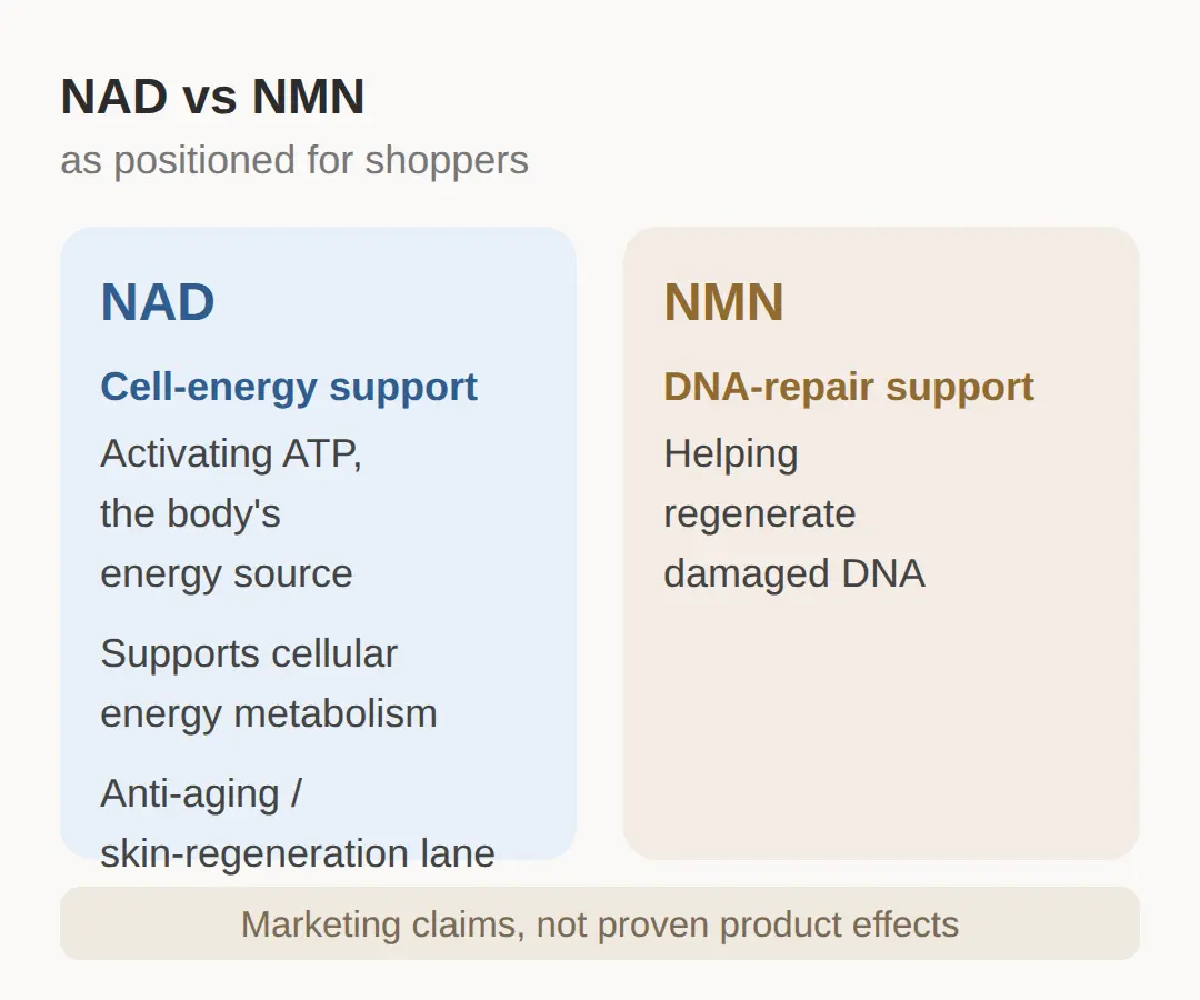 What Is NAD in Skincare, and What Is NMN?