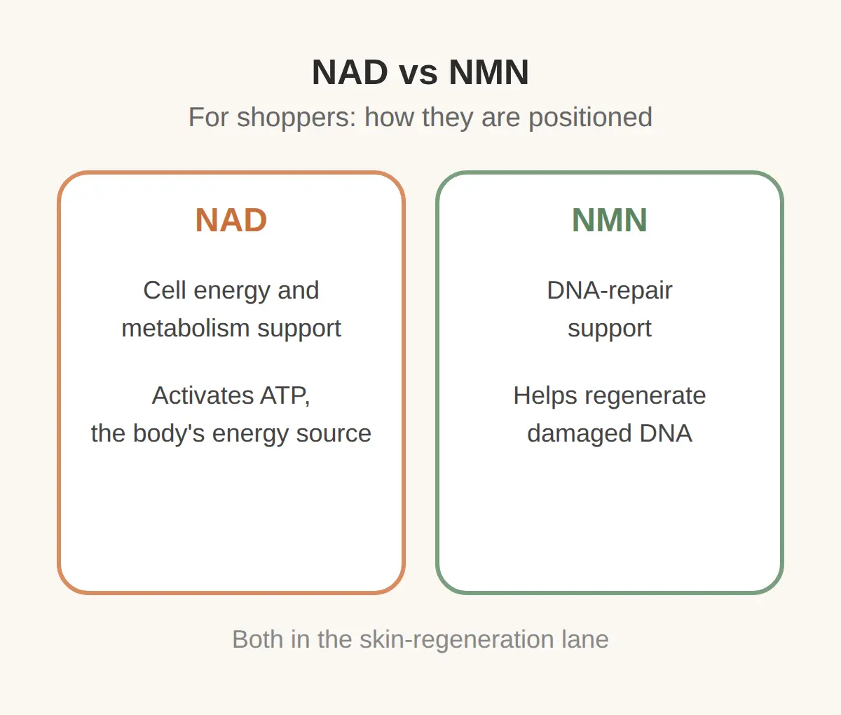 Why NAD and NMN Are Showing Up in Korean Skincare Now