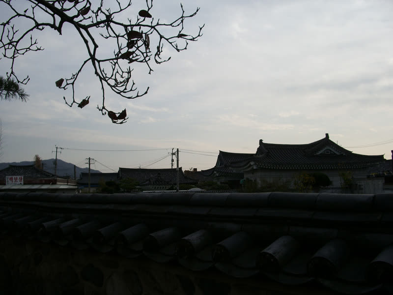 Traditional Roofs (5329004061) — Get off at Singyeongju Station — not 'Gyeongju'
