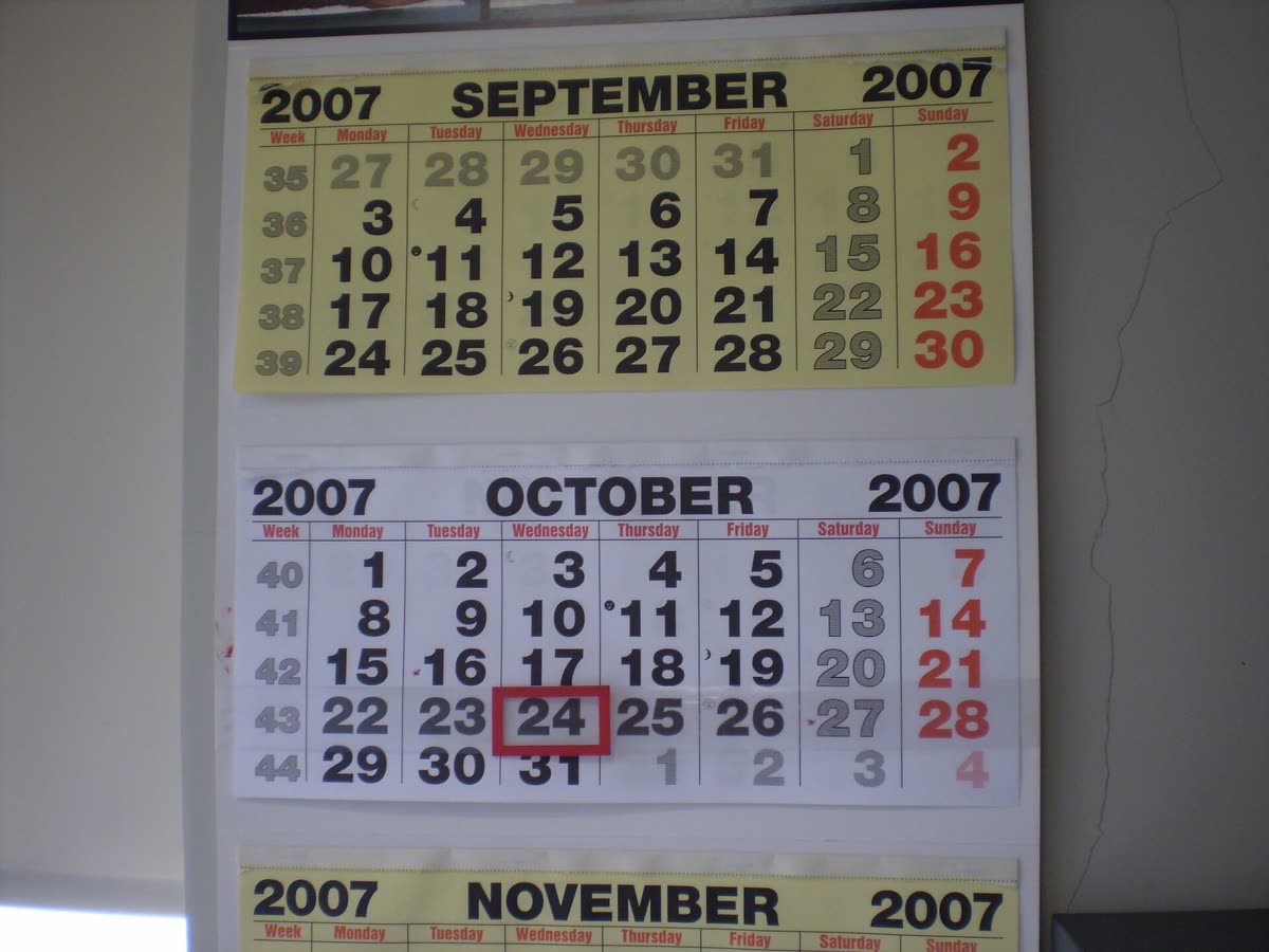 WallCalendar — Episode schedule: 6 episodes, two per week