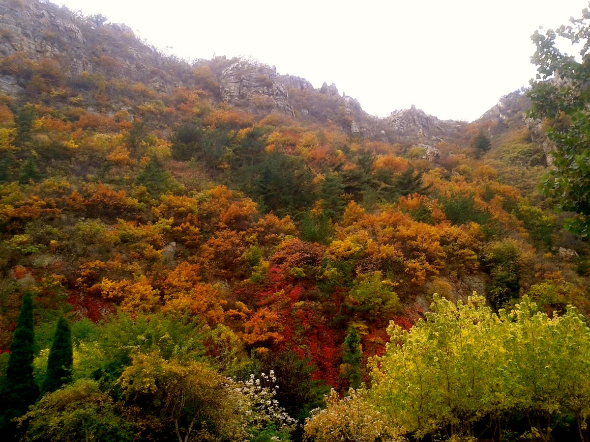Autumn mountain foliage Dalian — seoraksan fall foliage 2026 dates: first color Sept 27–30