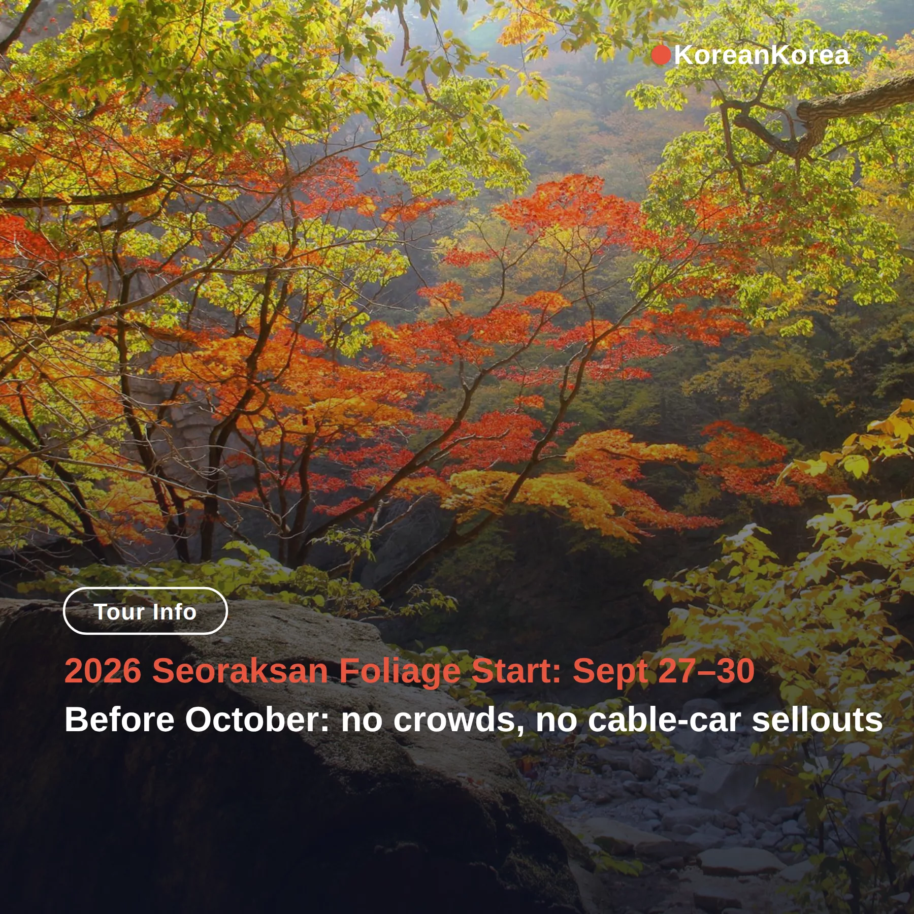 Seoraksan fall foliage 2026 dates: first color Sept 27–30