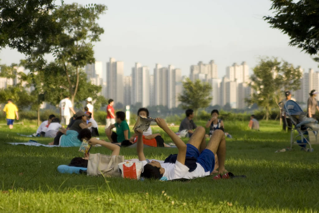 Typical evening in Han river park Seoul — What is Han River ramyeon