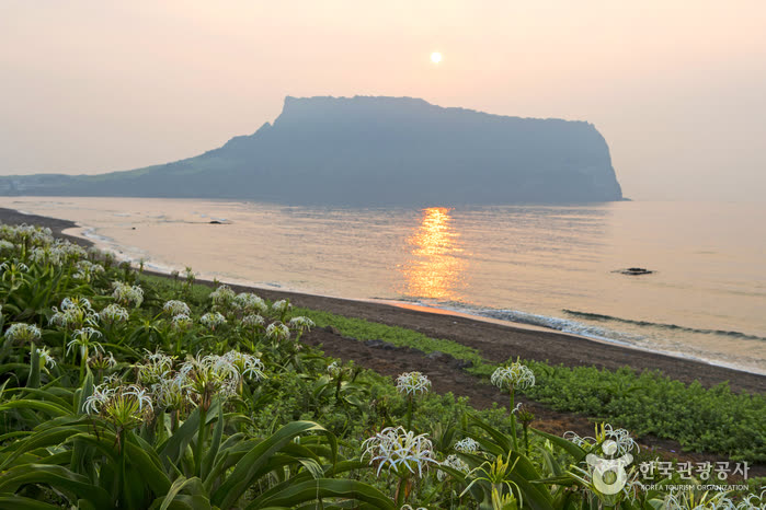 Seongsan Ilchulbong Tuff Cone [UNESCO World Heritage] (성산일출봉 [유네스코 세계문화유산]) — Bad Weather and Trail Closures