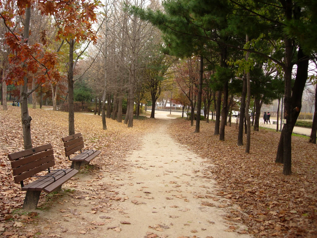 Seoulforest path01 — Seoul Forest traditional music concert 2026 schedule
