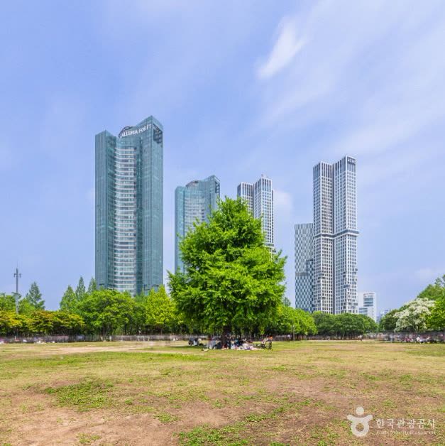 Seoul Forest (서울숲) — How it fits the September Seoul circuit