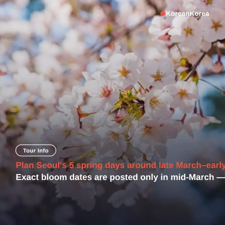 Seoul Itinerary 5 Days Spring: Bloom Dates & Prices