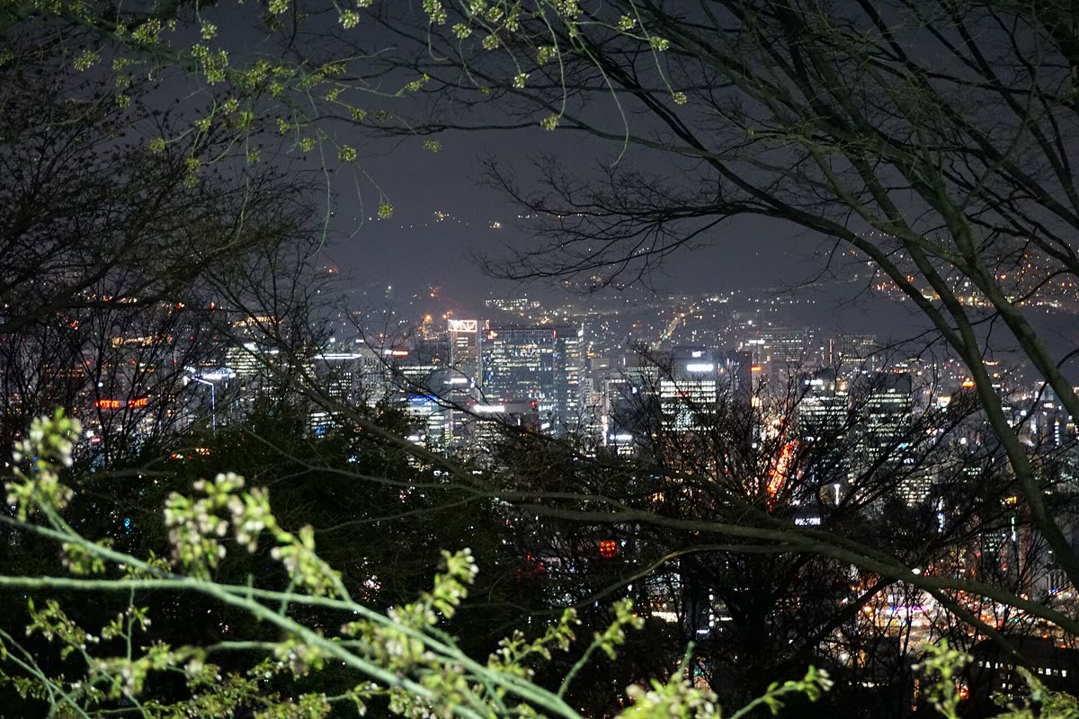 Seoul city skyline at night from Namsan Mountain (49175035266) — Why the reverse flow works in your favor