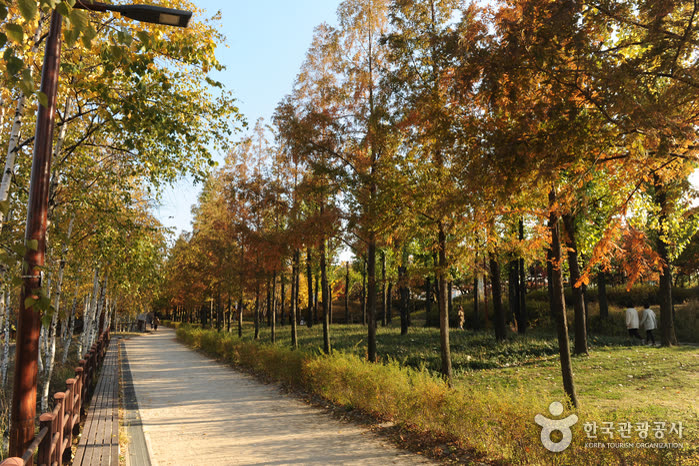 Seonyudo Park (선유도공원) — Do you need a KR PASS?