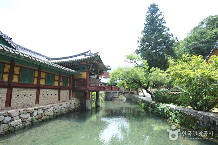 Suncheon Songgwangsa Temple (송광사(순천)) — When Is Songgwangsa Open? (Hours and Closing Days)