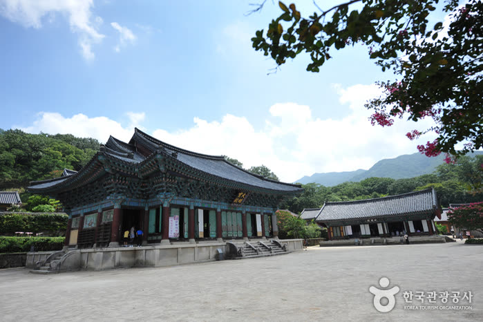Suncheon Songgwangsa Temple (송광사(순천)) — Can Foreigners Join Templestay at Songgwangsa?