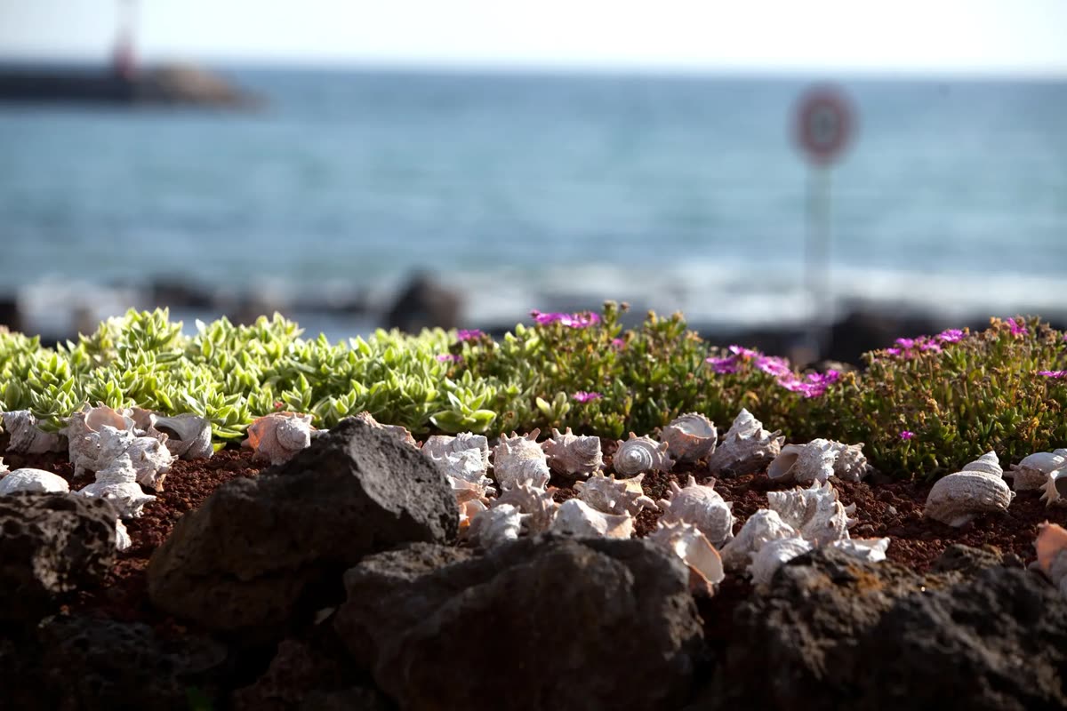 10 Jeju Recommended Sites for September — Typhoon Risk in September: What Changes and the Rainy-Day Backups