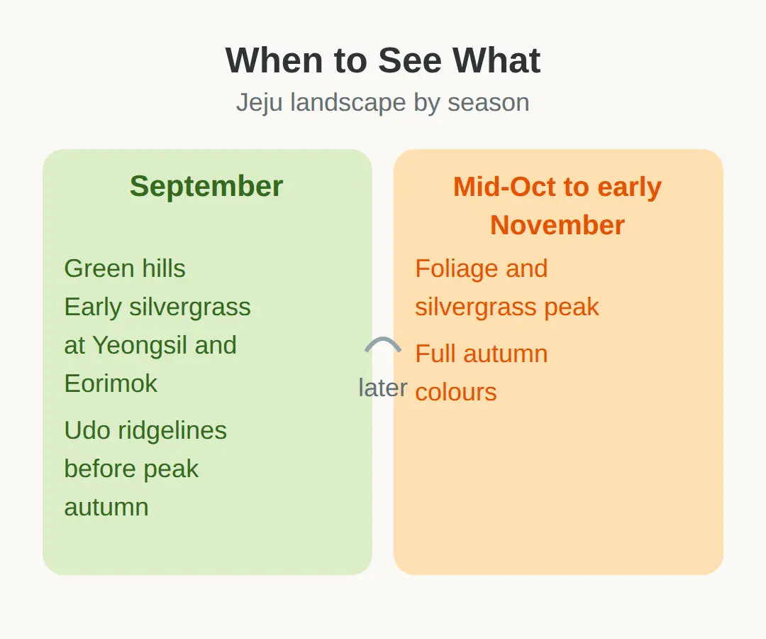 Things to Do in Jeju in September