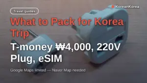 What to Pack for Korea Trip: T-money ₩4,000, 220V Plug, eSIM