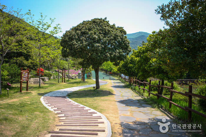 Wando Arboretum (완도수목원) — How to Get to Wando Arboretum from Seoul
