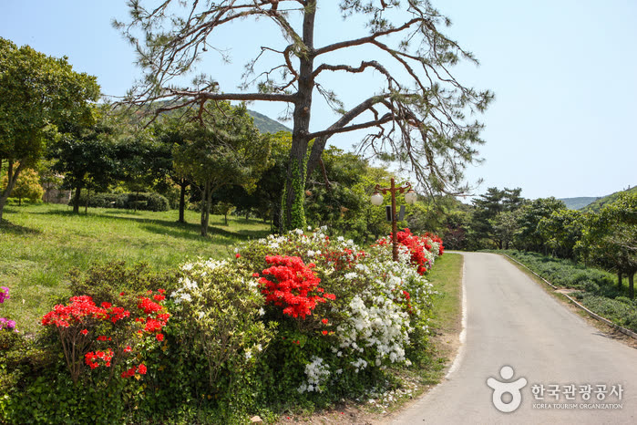 Wando Arboretum (완도수목원) — Wando Arboretum Hours and Closing Days