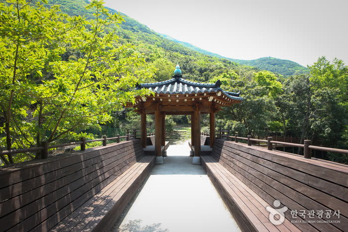 Wando Arboretum (완도수목원) — What Wando Arboretum Is and Who It Suits