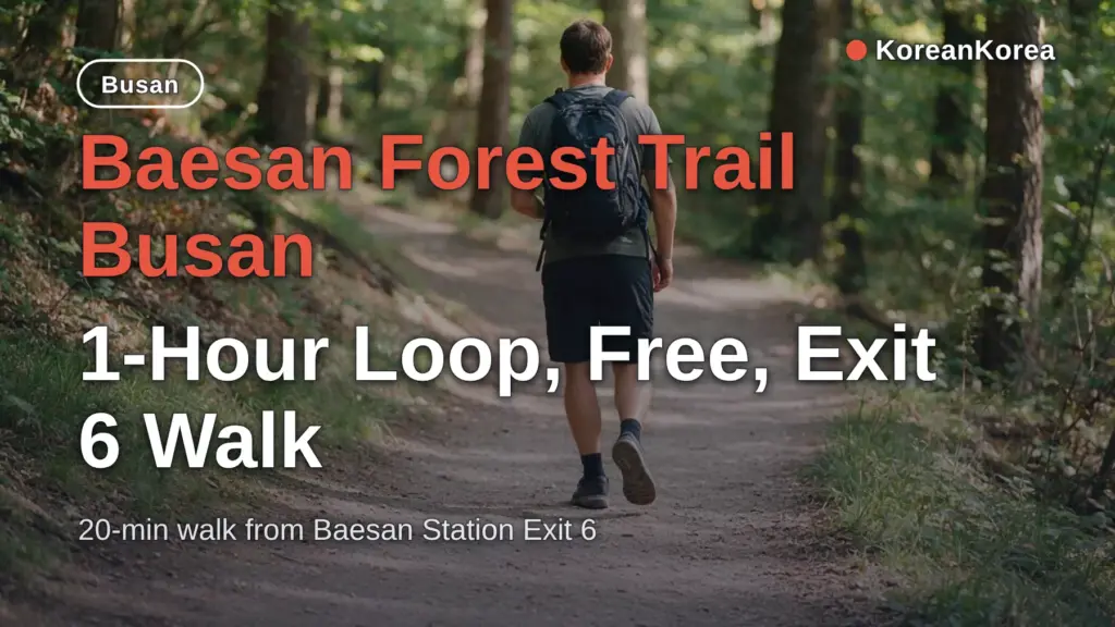 Baesan Forest Trail Busan: 1-Hour Loop, Free, Exit 6 Walk