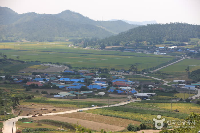 Bigeumdo Island (비금도) — Ferry options and times — Mokpo and Amtaedo