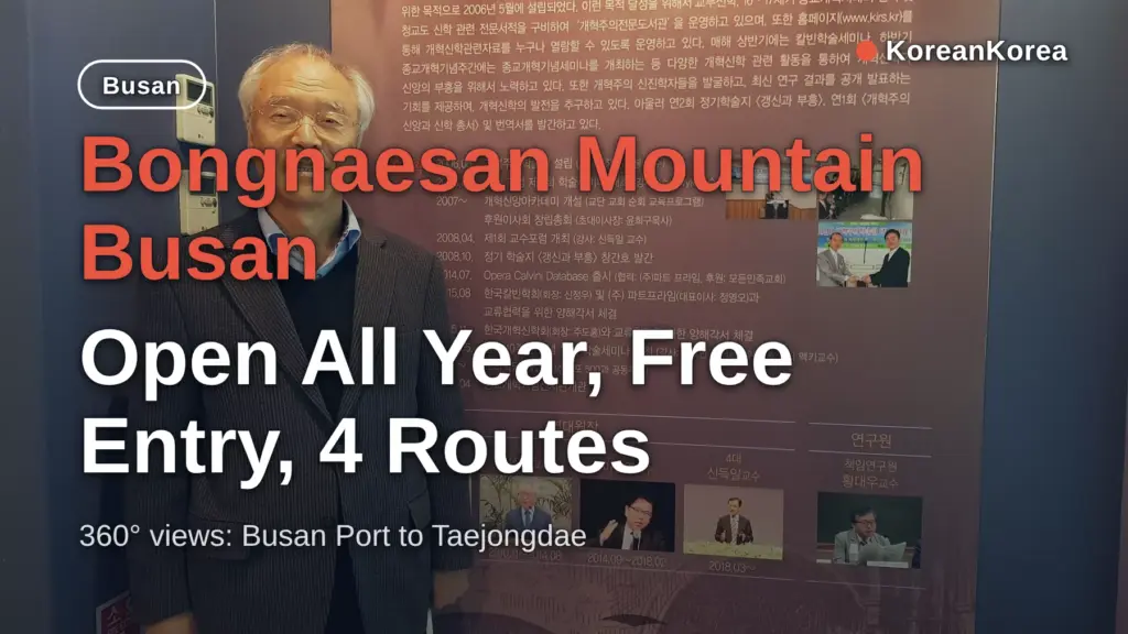 Bongnaesan Mountain Busan: Open All Year, Free Entry, 4 Routes