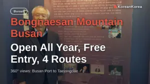 Bongnaesan Mountain Busan: Open All Year, Free Entry, 4 Routes