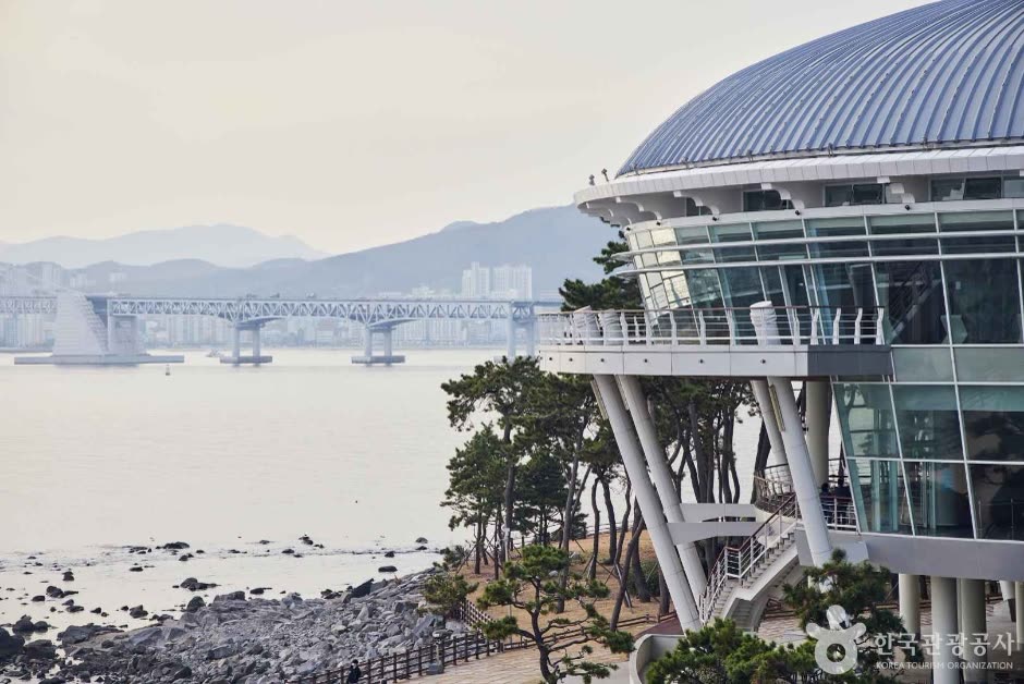 Haeundae Dongbaekseom Island (해운대 동백섬) — First train out of Seoul, last train home — check this before booking