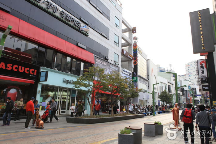 Gwangbok-dong Cultural & Fashion Street (광복로문화패션거리) — How Does The Jagalchi Market Hoe Work — Step By Step